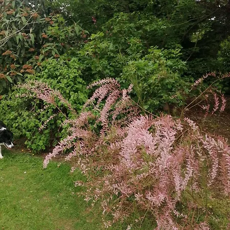 Le Du Colombier Bracquetuit