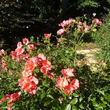 Le Du Colombier 펜션 Bracquetuit