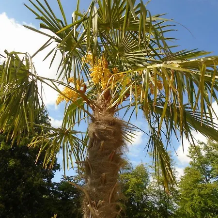 بيت للعطل Le Du Colombier *